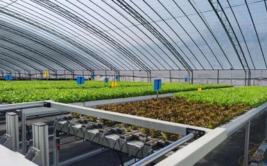 阿里云 智能農(nóng)業(yè)的領(lǐng)航者，高科技助新農(nóng)人畝產(chǎn)躍升六倍