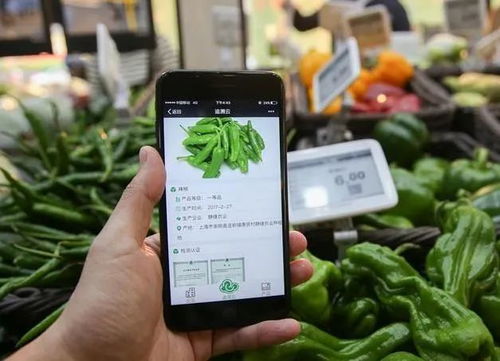 為什么要農產品溯源？一文為你解答智能農業管理