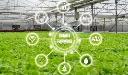 人工智能賦能智慧農(nóng)業(yè) 開啟智能管理新篇章